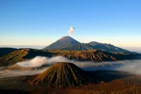 4-hidden-gem-desa-ngadirejo-pasuruan-yang-nggak-masuk-brosur-wisata-bromo 