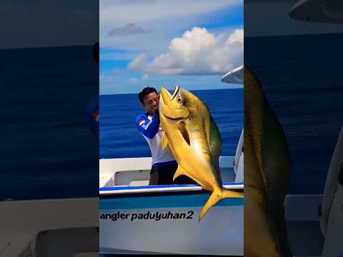 🎣 GAK NYANGKA DAPAT MONSTER BEGINI! #Shorts #YouTubeShorts #Mancing #MancingLaut
