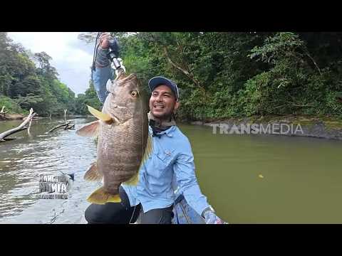 Menaklukkan Perlawanan Predator Air Tawar | MANCING MANIA STRIKE BACK (01/08/26) P3