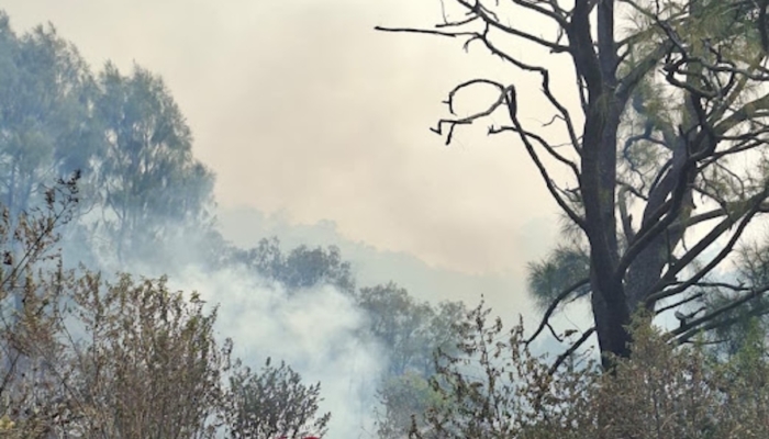 khofifah-upayakan-helikopter-water-bombing-padamkan-kebakaran-bromo-besok