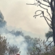 khofifah-upayakan-helikopter-water-bombing-padamkan-kebakaran-bromo-besok