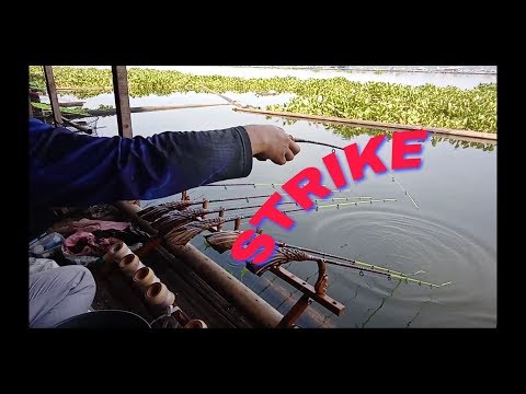 IKAN MAS CIRATA..  MANCING BARENG KOMUNITAS SAGARA