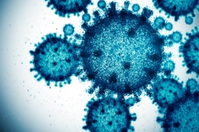 scientists-used-ai-to-create-16-new-viruses