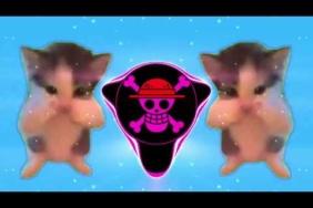 DJ KICAU KICAU KICAU MANIA SLOW VIRAL TIKTOK FULL SONG MAMAN FVNDY 2026