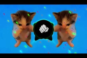 DJ KICAU KICAU KICAU MANIA SLOW VIRAL TIKTOK FULL SONG MAMAN FVNDY 2026