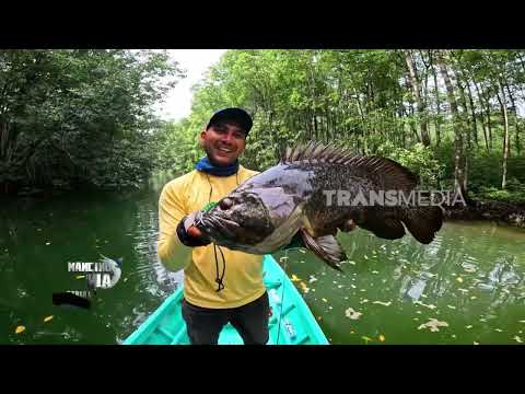 Sensasi Sambaran Penguasa Muara | MANCING MANIA STRIKE BACK (06/06/26) P3