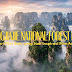 zhangjiajie-national-forest-park:-negeri-pilar-batu-yang-jadi-inspirasi-film-avatar