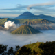 tnbts-rumah-bagi-beragam-flora-dan-fauna-langka,-jangan-sampai-api-mengepungnya