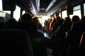 harapan-jaya-dan-pelita-indah,-duo-maut-bus-tulungagung-yang-bikin-banyak-penumpang-trauma