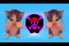 DJ KICAU KICAU KICAU MANIA SLOW VIRAL TIKTOK FULL SONG MAMAN FVNDY 2026