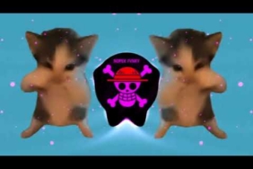DJ KICAU KICAU MANIA REMIX ANGKAT LAH TOPI MINAT MONGGO JAPRI SLOW VIRAL TIKTOK FULL SONG 2026