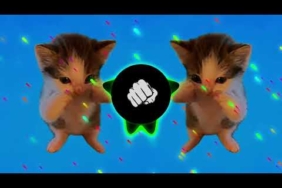 DJ KICAU KICAU KICAU MANIA SLOW VIRAL TIKTOK FULL SONG MAMAN FVNDY 2026