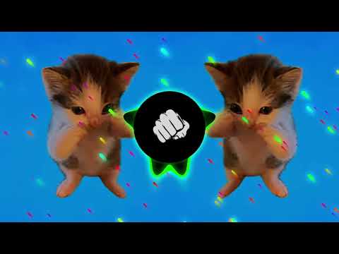 DJ KICAU KICAU KICAU MANIA SLOW VIRAL TIKTOK FULL SONG MAMAN FVNDY 2026