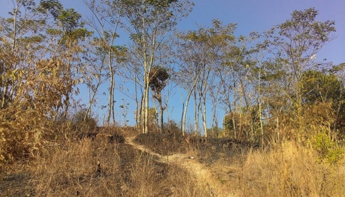 puncak-kemarau-2026-diprediksi-agustus-september,-saatnya-bersiap-hadapi-cuaca-kering