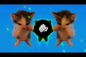 DJ KICAU KICAU MANIA REMIX ANGKATLAH TOPI MINAT MONGGO JAPRI VIRAL TIKTOK TERBARU 2026