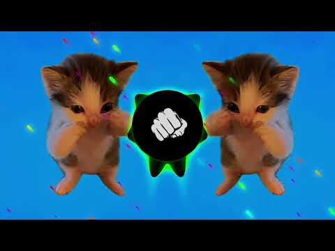 DJ KICAU KICAU MANIA REMIX ANGKATLAH TOPI MINAT MONGGO JAPRI VIRAL TIKTOK TERBARU 2026
