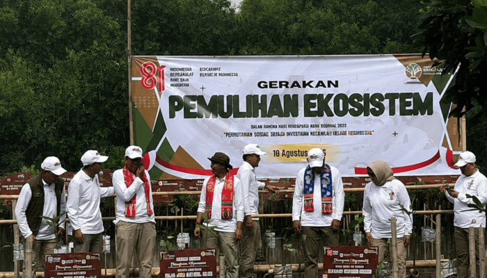 bukan-sekadar-taman-satwa!-jsn-sukses-tetaskan-nuri-kabare-dan-lepasliarkan-5-burung-ke-alam