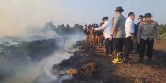 Karhutla di Kalsel Menggila, 3.387 Hektare Hangus Terbakar