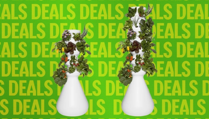 the-best-way-to-avoid-diarrhea-lettuce?-this-indoor-garden
