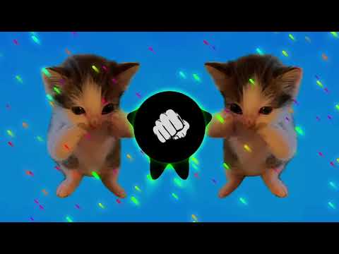 DJ KICAU KICAU KICAU MANIA SLOW VIRAL TIKTOK FULL SONG MAMAN FVNDY 2026