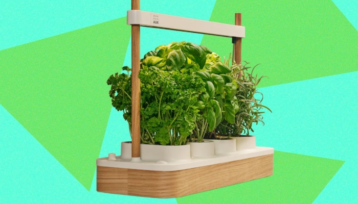 auk-mini-2-indoor-smart-garden-review:-better-where-it-counts