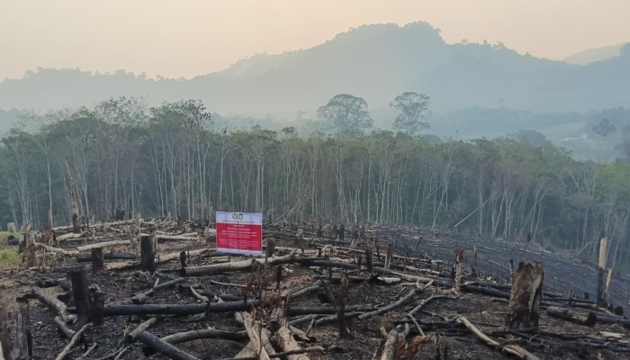 empat-perusahaan-kehutanan-di-kalbar-diperiksa-kesiapan-tangani-karhutla