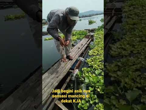 mancing di waduk cirata cianjur