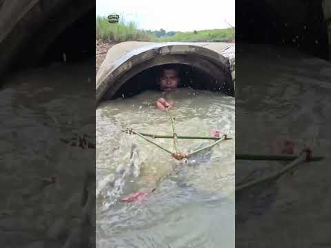 Best 3 Hook Fishing By Catching Big Fish