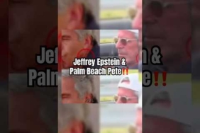 Teori Konspirasi⚠️ || Jeffrey Epstein & Palm Beach Pete‼️ #teorikonspirasi #jeffreyepstein