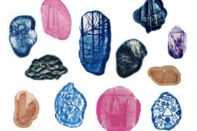 defying-sustainable-photography-limits:-exploring-martha-gray’s-biocyan-experiments