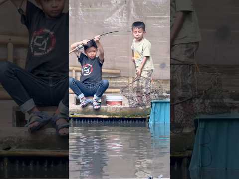 KALAH SAMA BOCIL😂🎣