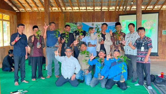 kopi-tombo-kembali-dikembangkan,-warga-jaga-warisan-kebun-kopi-dan-hutan