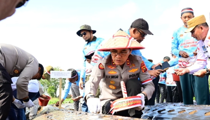 dukung-swasembada-bawang-putih,-kapolda-jambi-tanam-lumbu-putih-di-kerinci