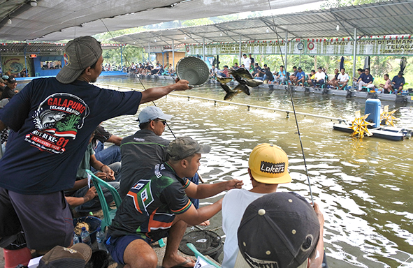 semarak-merayakan-hut-ri-ke-81-di-galapung-telaga-bambu,-merdeka…-merdeka…