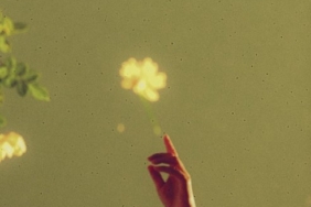 poet-photographer-satellite-june-on-the-intersection-between-poetry-&-analogue-photography