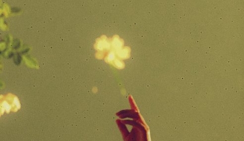 Poet-Photographer Satellite June on the Intersection Between Poetry & Analogue Photography