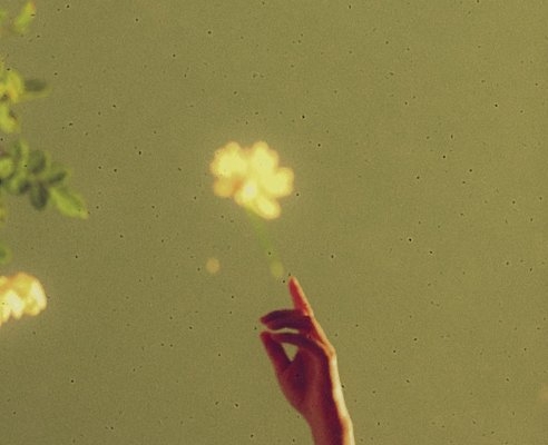 poet-photographer-satellite-june-on-the-intersection-between-poetry-&-analogue-photography