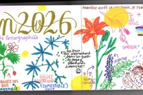 drawing-memories:-inside-emilie-gleason’s-analogue-journal