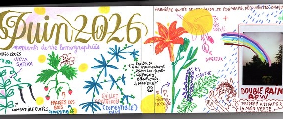 Drawing Memories: Inside Émilie Gleason’s Analogue Journal