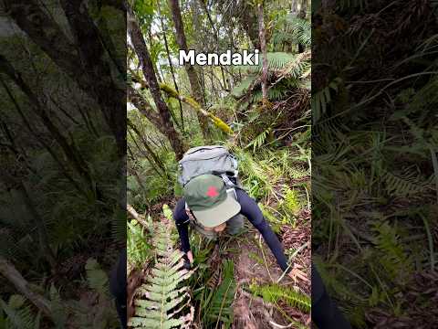 KEJAM! GUNUNG TERSUSAH DI NTT😭😭 #pendaki #gunung #pendakigunung #pendakiindonesia #ntt