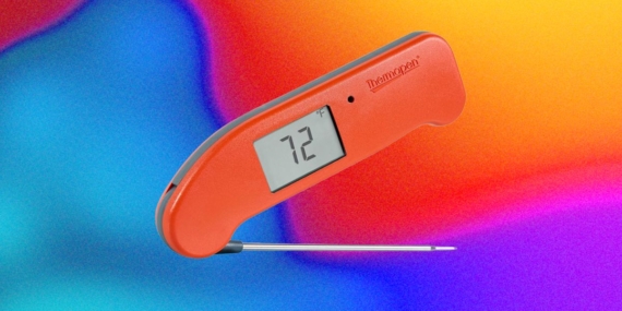 The Best Kitchen Gadget to Prevent Salmonella Is a Good Meat Probe
