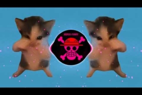 DJ KICAU KICAU KICAU MANIA SLOW VIRAL TIKTOK FULL SONG MAMAN FVNDY 2026