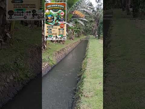 Lokasi Lomba Mancing Komunitas Pemancing Aget