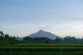 modal-20-ribu-rupiah,-kamu-bisa-makan-tiga-kali-sehari-di-ngaglik,-jogjakarta