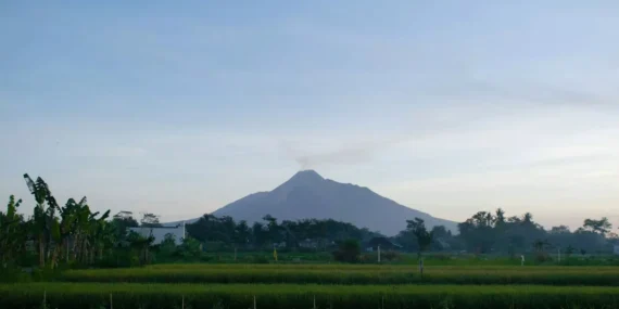 Modal 20 ribu rupiah, kamu bisa makan tiga kali sehari di Ngaglik, Jogjakarta