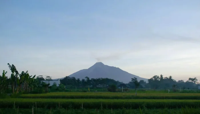 modal-20-ribu-rupiah,-kamu-bisa-makan-tiga-kali-sehari-di-ngaglik,-jogjakarta
