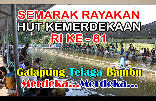 kabarmancing-channel-:-semangat-rayakan-hut-ri-ke-81-merdeka…merdeka…