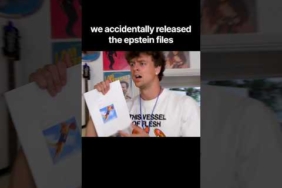 we accidentally released the epstein files