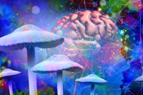 psilocybin-might-make-your-brain-live-in-the-moment