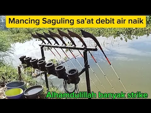 Mancing Saguling sa’at debit air meluap lagi dan Alhamdulillah banyak Sambaran